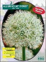 Sierlook - thumbnail