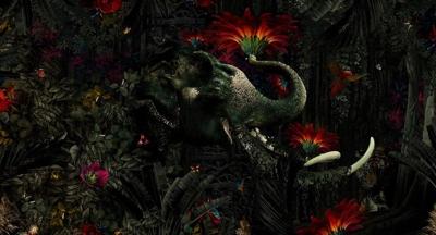 Muance Muance Fotobehang Mumba Kanda - MU13025