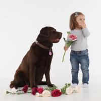 Tickless Pet minimaal 6 maanden bescherming Roze - thumbnail