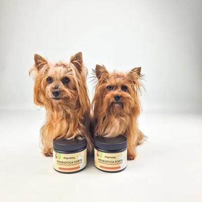 Dogsuppy Probiotica Forte Chewies
