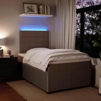 Boxspring met matras fluweel lichtgrijs 120x190 cm