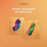 D&apos;Addario Ascenté A310-34M 3/4 Medium vioolsnaren set - thumbnail