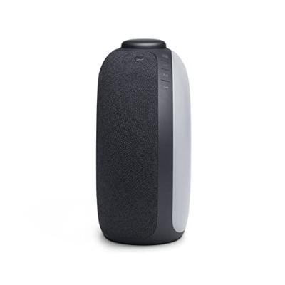 JBL Horizon 2 wekkerradio, Bluetooth luidspreker met DAB; en FM-radio, 2 USB-poorten voor oplaadapparaten, zwart