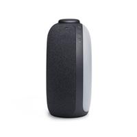 JBL Horizon 2 wekkerradio, Bluetooth luidspreker met DAB; en FM-radio, 2 USB-poorten voor oplaadapparaten, zwart - thumbnail
