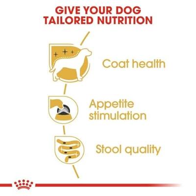 Royal Canin Yorkshire Terrier Adult natvoer hondenvoer 12x85g - thumbnail