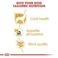 Royal Canin Adult Yorkshire Terriër natvoer hond (paté) 1 doos (12 x 85 g) - thumbnail