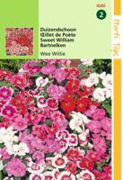 Zaden Dianthus Duizendschoon Wee Willie gemengd Hortitops - Hortitops - thumbnail