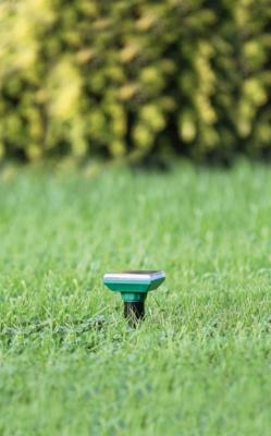 Nature mollen verjager solar