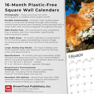 Cat Lovers Kalender 2026