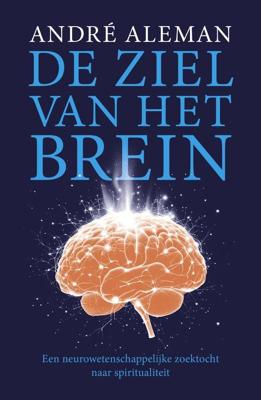 De ziel van het brein - Andre Aleman - ebook