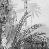Komar fotobehang lac tropical black & white 200x270 cm - thumbnail