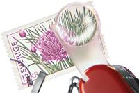 Victorinox SwissChamp 1.6795.T Zwitsers zakmes Aantal functies 33 Rood (transparant) - thumbnail
