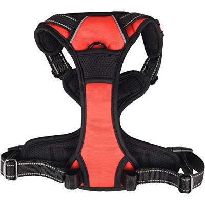 Hondentuig Balou Rood L 60-85 cm x 25 mm
