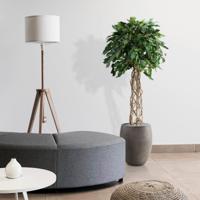 Ficus Exotica bol kunstplant op stam 150cm - thumbnail