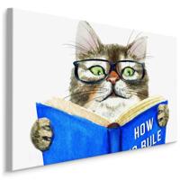 Schilderij - Kat leest een Boek, Premium Print op Canvas - thumbnail