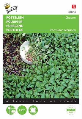 Zaden Postelein Groene Buzzy - Buzzy