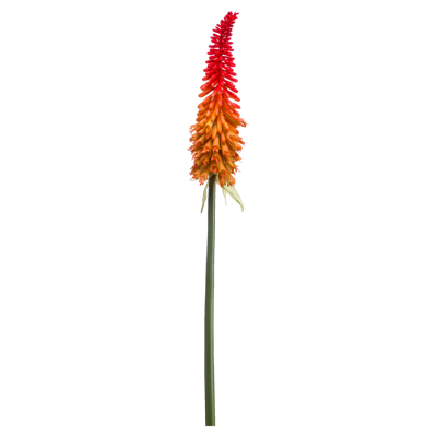 Kniphofia spray red/orange 85 cm kunstplant Emerald - Emerald