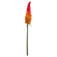 Kniphofia spray red/orange 85 cm kunstplant Emerald - Emerald - thumbnail