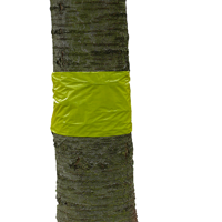 BOOMLIJMBAND | Gele lijmband - 5m x 30cm - thumbnail