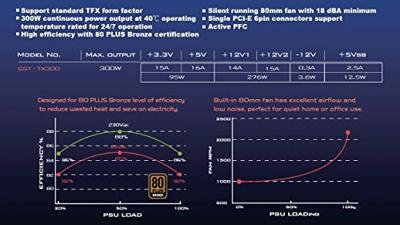 SilverStone TFX TX300 voeding SilverStone TFX TX300 voeding