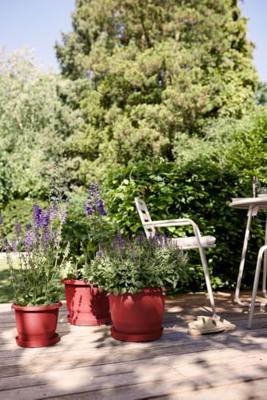 Bloempot - ELHO - Amiga Rond 25 - Rood - L 25 x B 24,5 x H 18 cm - Buiten - 100% gerecycled