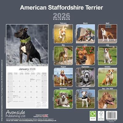 American Staffordshire Terrier Calendar 2026 Square Dog Breed Wall Calendar - 16 Month