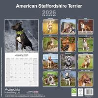 American Staffordshire Terrier Calendar 2026 Square Dog Breed Wall Calendar - 16 Month - thumbnail