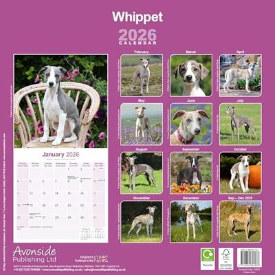 Whippet Kalender 2026 Whippet Kalender 2026
