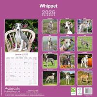 Whippet Kalender 2026 - thumbnail