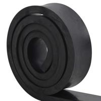 VidaXL Rubberen rand voor sneeuwploeg 250x10x2 cm zwart - thumbnail