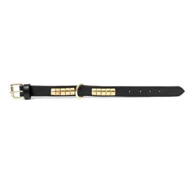 Hondenhalsband Gloria Duna Zwart Gouden (60 cm) (60 x 2.5 cm)
