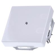 Busch-Jaeger 2CKA001710A3163 Afdekking Verkeerswit, Wit 1 stuk(s) - thumbnail