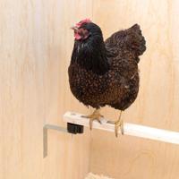 Anti bloedluis kit - thumbnail