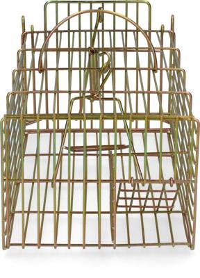 Inloopval rat levend massa Inloopval rat levend massa