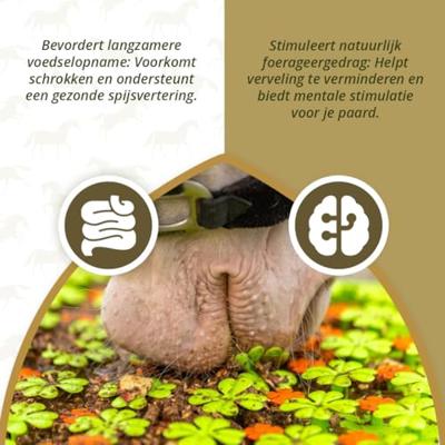 Excellent Horse Snuffle mat