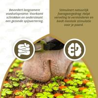 Excellent Horse Snuffle mat - thumbnail