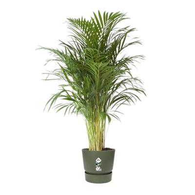 Elho Greenville bloempot 47 cm Bladgroen