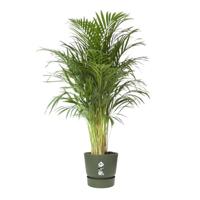 Elho greenville 40 leaf green - thumbnail