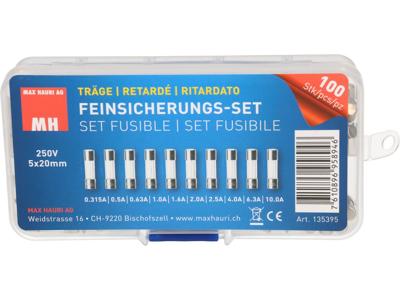 Max Hauri 135395 Buiszekering assortiment (Ø x l) 5 mm x 20 mm Traag -T- Inhoud 100 stuk(s)