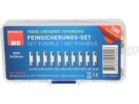 Max Hauri 135395 Buiszekering assortiment (Ø x l) 5 mm x 20 mm Traag -T- Inhoud 100 stuk(s) - thumbnail