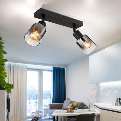 Globo PlafondlampHubertus 2-lichts - 54308-2