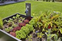 GARDENA 13010-20 Micro-Drip system Startset plantenrij S 4,6 mm (3/16) Slanglengte: 15 m - thumbnail