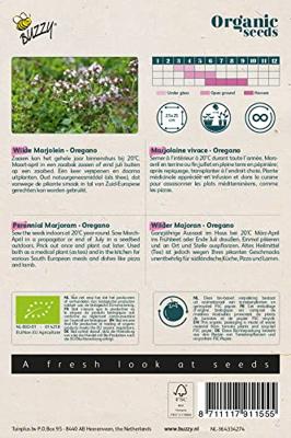 Biologische Wilde Marjolein - Oregano
