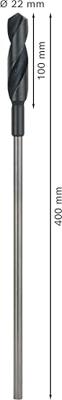 Bosch Accessories 2608597167 Bekistingsboor 22 mm Gezamenlijke lengte 400 mm Cilinderschacht 1 stuk(s)