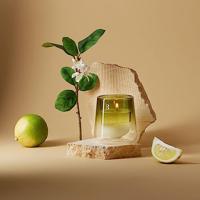 Bolsius cleanlight navulling bergamot & neroli - thumbnail