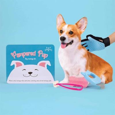 Gift Republic Massage Kit - Hond
