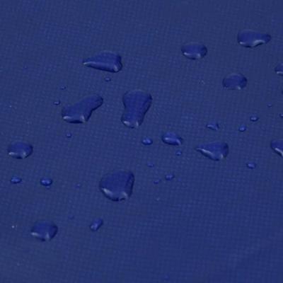 Dekzeil 650 g/m² 5x8 m blauw