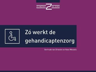Zó werkt de gehandicaptenzorg - Gertrude van Driesten, Kees Wessels - ebook