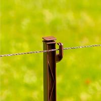 Gallagher Duopack Vario paal terra 1,00m (2x10) - 072507 072507 - thumbnail