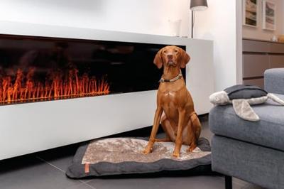 Trainingshalsbanden voor honden Trixie Be Nordic Zwart Zand XS/S 30 cm - thumbnail